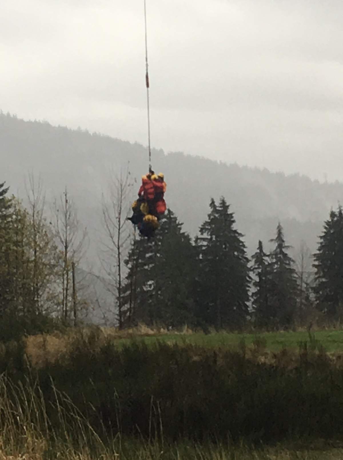 1 cuddled close, 1 was on guard and 1 looked for food: how 3 dogs helped Annette Poitras survive - image