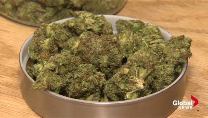 Aurora Cannabis Inc. has said it's allowed to buy up to about five per cent of the Saskatoon-headquartered CanniMed's stock on the open market.