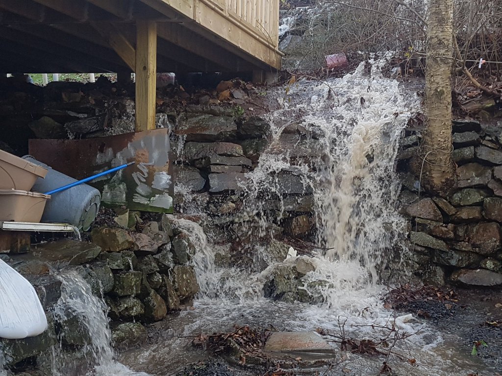 What appears to be a water main break in Halifax, N.S. has left home owners scrambling to prevent water damage and flooding.
