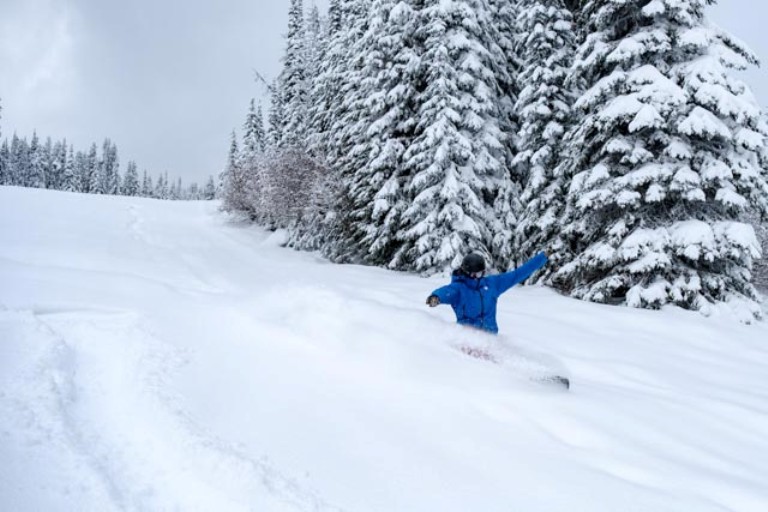 B.C. skiers will suffer as Greyhound slashes service right before winter season - image