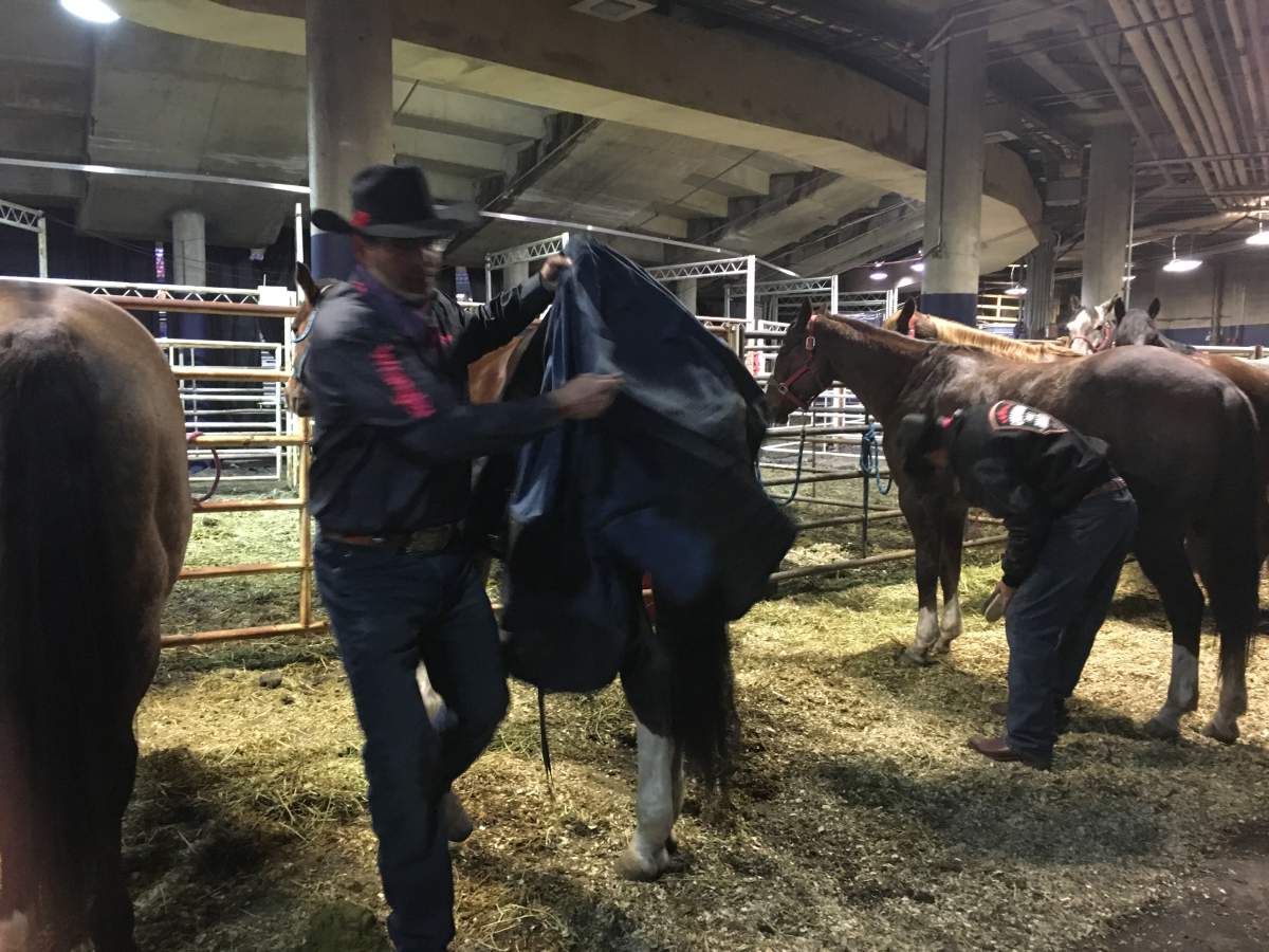 Jeff and Jason Resch prepare their horses for the final day of competition at CFR 44.