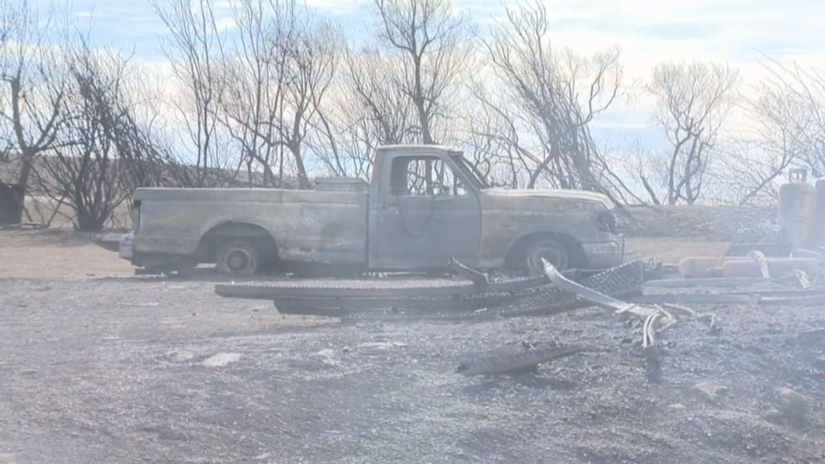 About 770 cattle were lost to wildfires fires in southwest Saskatchewan, along with structures and 36,000 hectares of land.