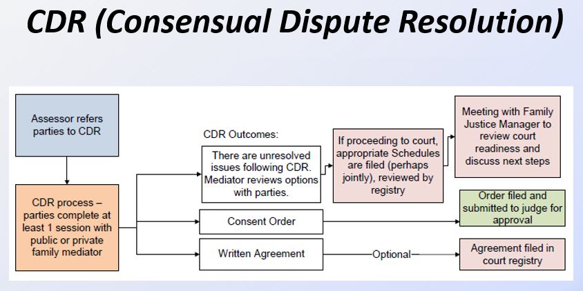 Proposed Consensual Dispute Resolution process.