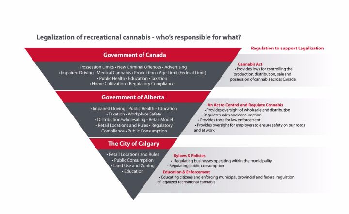 How is the City of Calgary preparing for marijuana legalization? - image