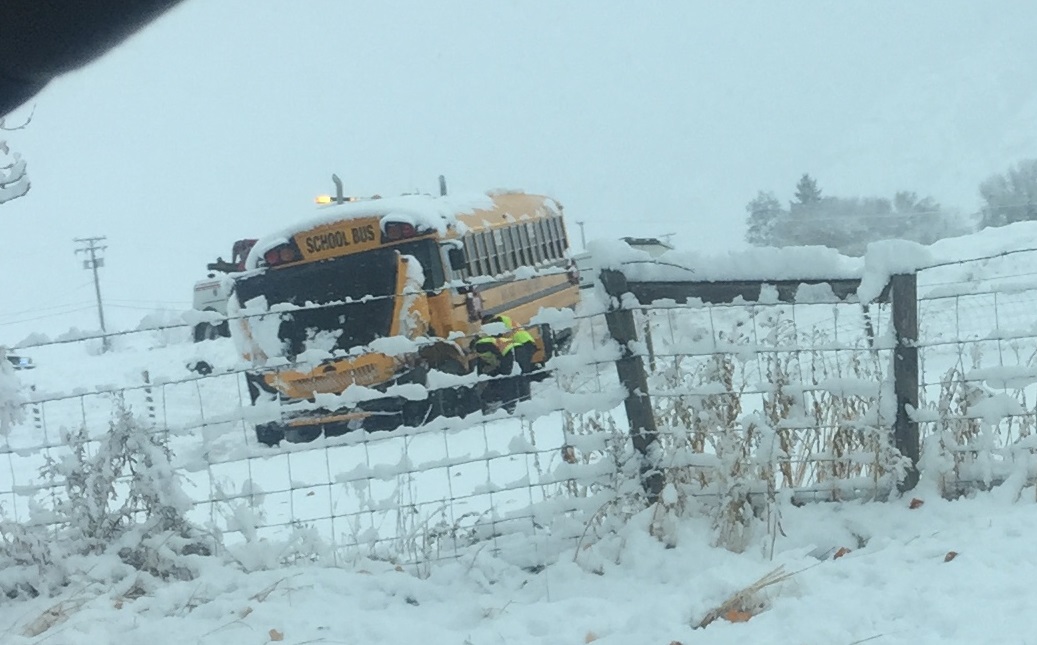 Deadly crash near Falkland - image