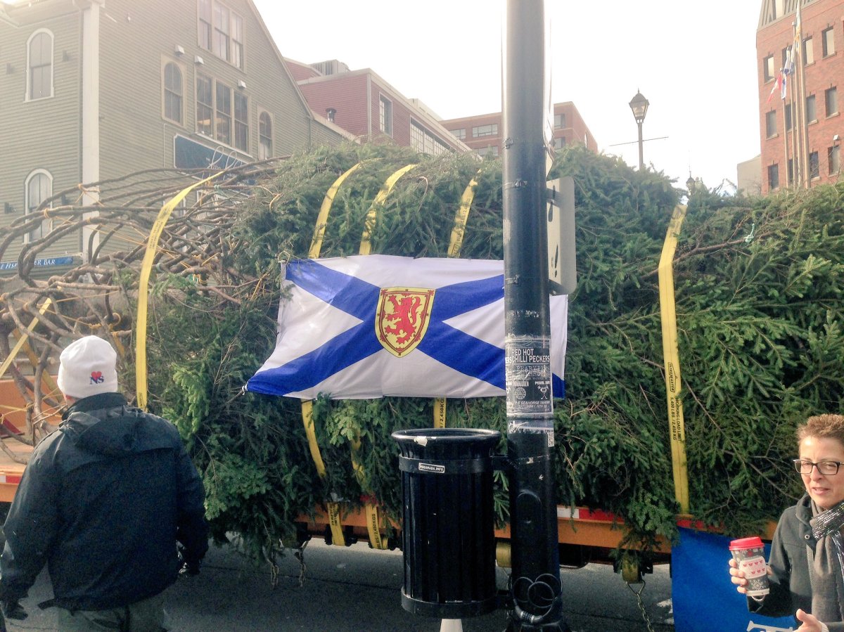 Hundreds of people gathered at Halifax's Grand Parade
today to say bon voyage to a tree .