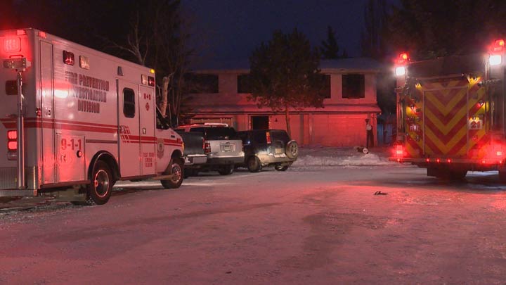 A dog has died after a Saskatoon house fire in the Pacific Heights neighbourhood.
