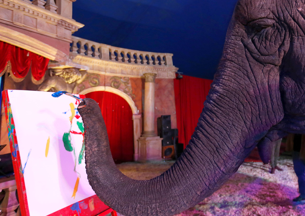 Art painted by Indian elephant hits auction block in Hungary National Globalnews.ca