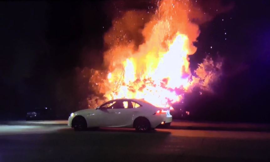 This fire was started by fireworks in Burnaby Halloween night.