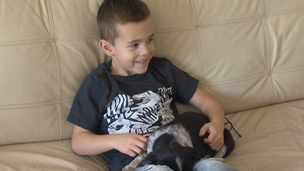 A kindergarten boy named Chaseton Flaman donated half of his birthday money to Bright Eyes Dog Rescue. 