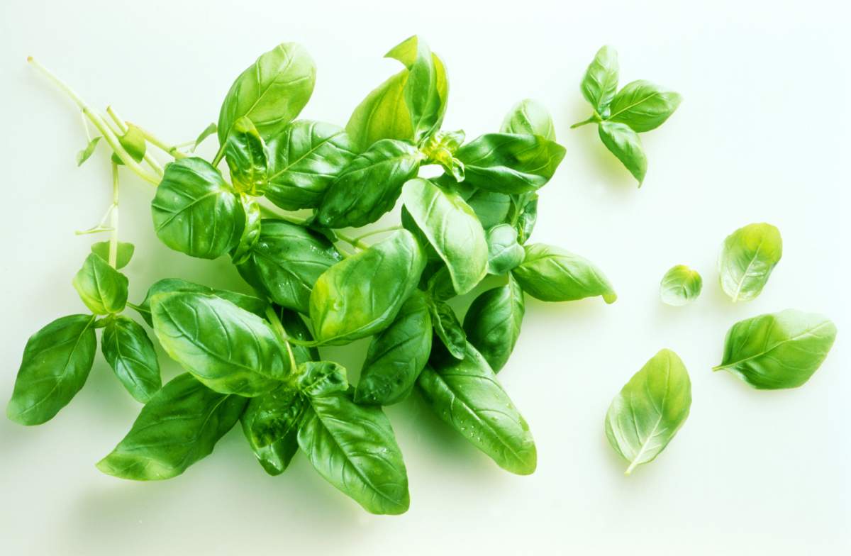 Food you probably don’t need to refrigerate (and ones you do) - image