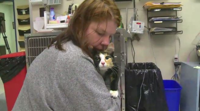 Gigi the cat is now in the care of a veterinarian.