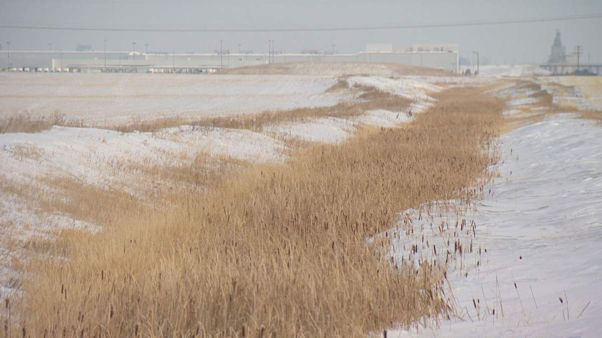 The drainage ditch as it runs through the Global Transportation Hub.