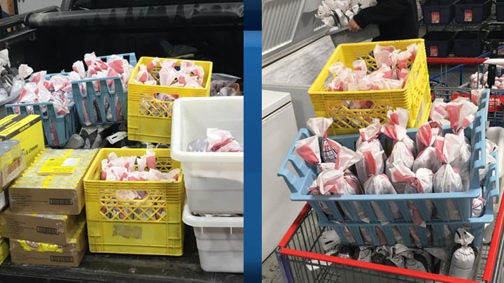 The Saskatoon Food Bank and Learning Centre received a 496-pound donation of wild meat from the Saskatoon Wildlife Federation on Giving Tuesday.
