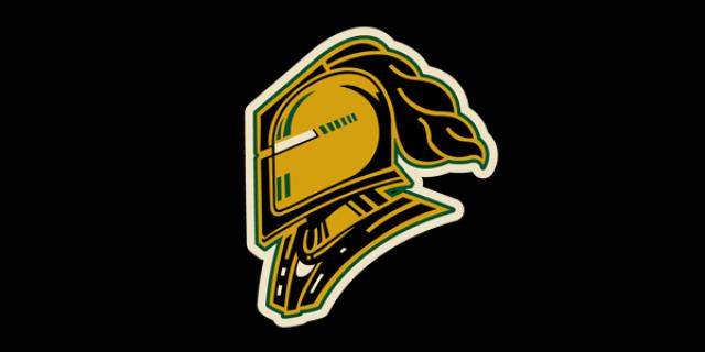 Sarnia Sting take down the London Knights - image