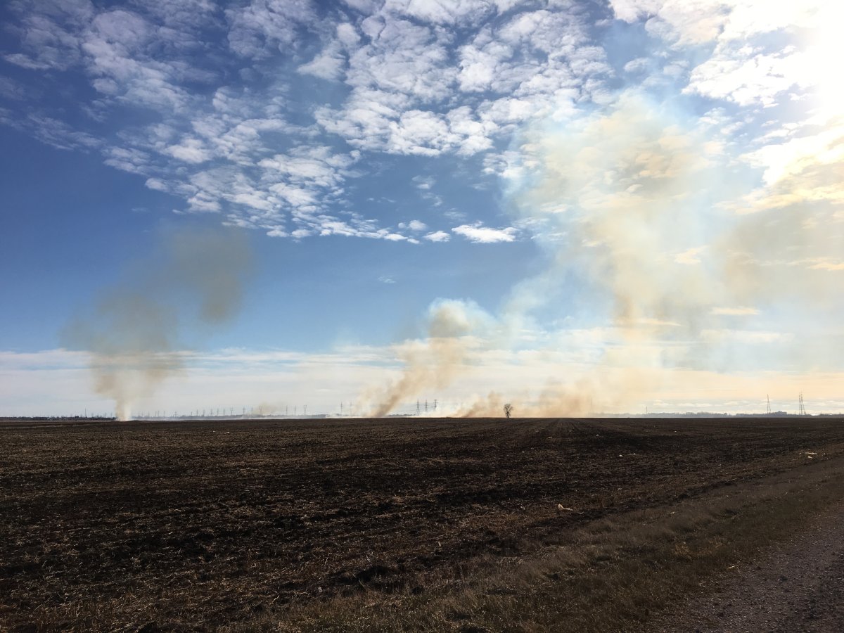 Smoke rose over Winnipeg Nov. 3. The source was a controlled burn in this field.