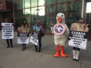 Protestors with PETA set up outside Portage Place Tuesday.
