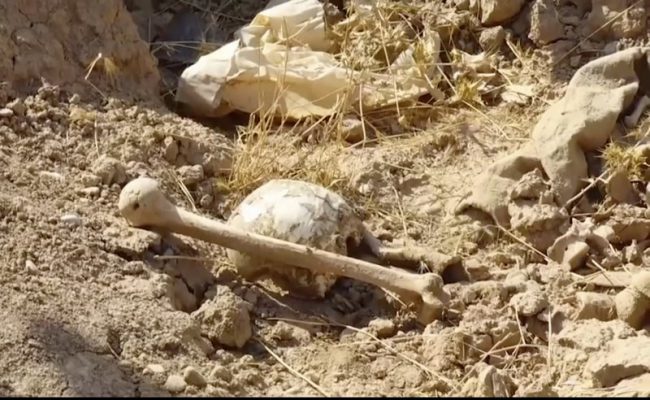 In this Nov. 11, 2017 frame grab from video, bones lie on the ground in an area recently retaken from the Islamic State group near Hawija, Iraq.