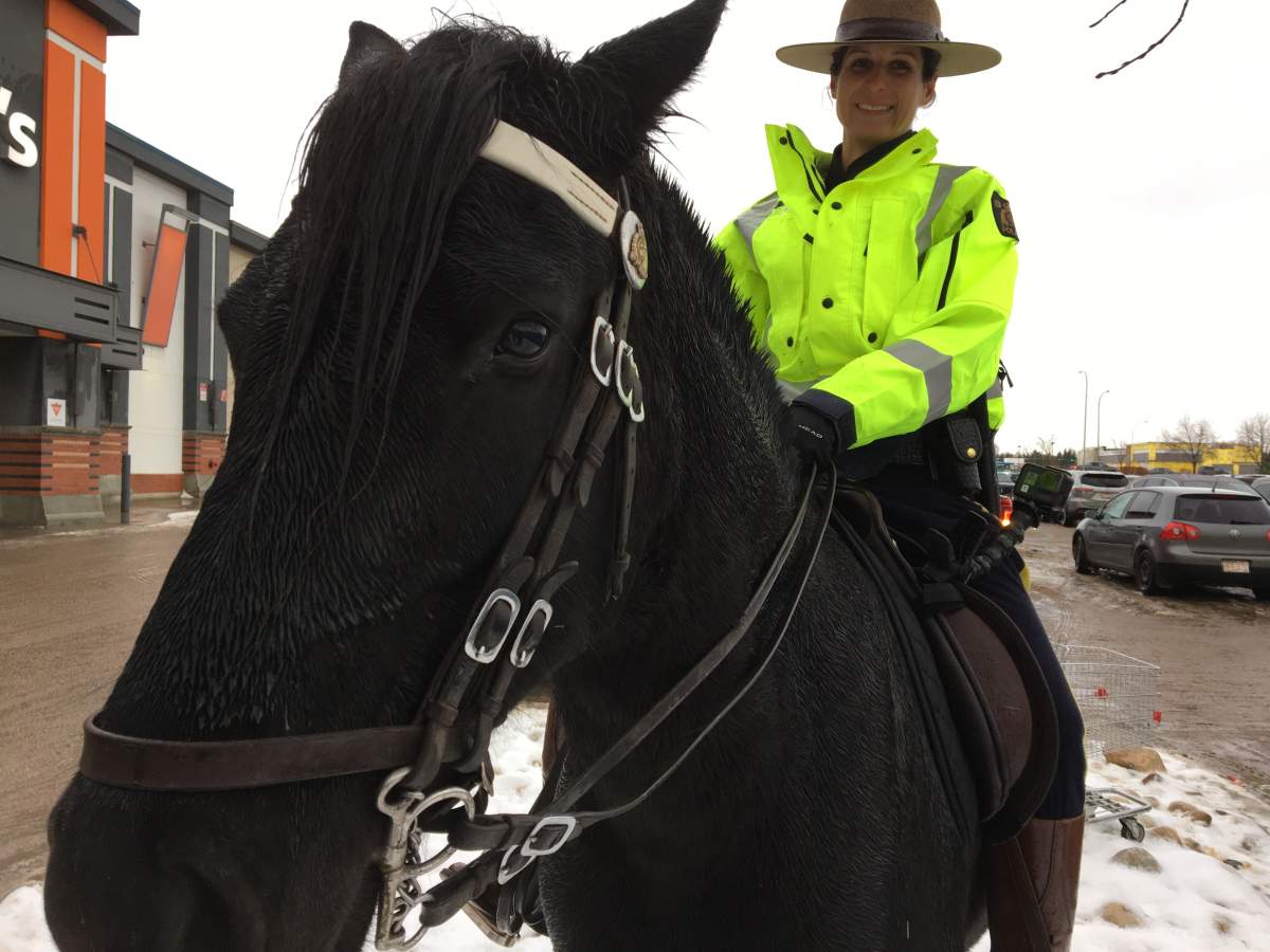 Const. Jenn Burgoyne and Aloise out on patrol in Sherwood Park, Alta
