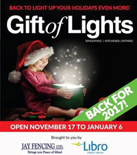 Gift of Lights - image