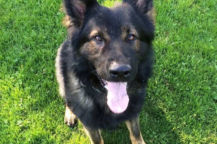 PSD Lonca, who was seriously injuried in an incident last year.
