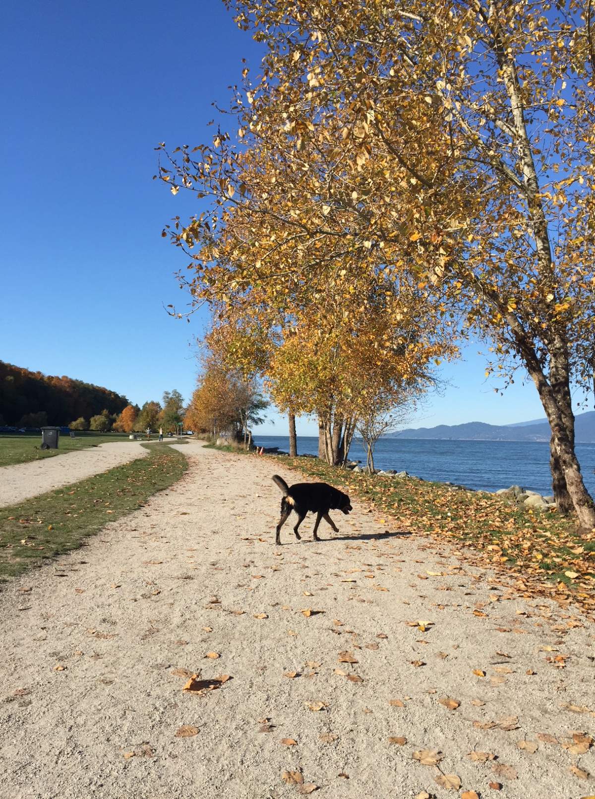 Vancouver on Monday – Olivia Mowatt.