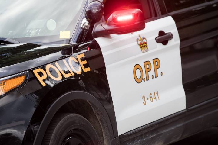 Ontario Provincial Police say 341 people died on OPP patrolled roads in 2017.