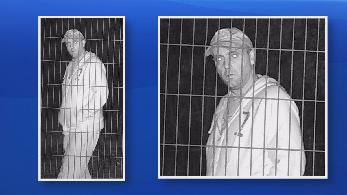RCMP are looking to identify a suspect after a utility trailer was stolen from a business in Lower Truro, N.S.
