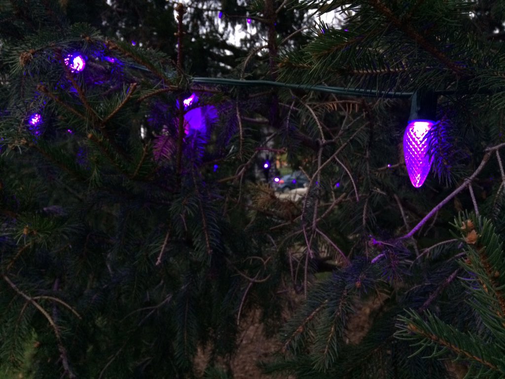 A purple light shines on the London Abused Women's Centre's tree of hope in Victoria Park. 