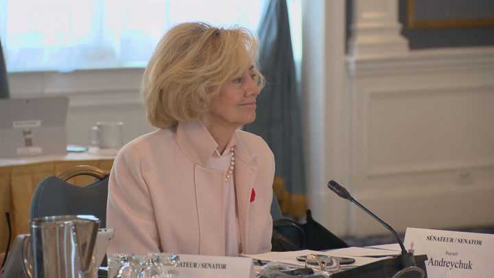 Sask. business leaders sound off to Senate committee over proposed tax changes - image