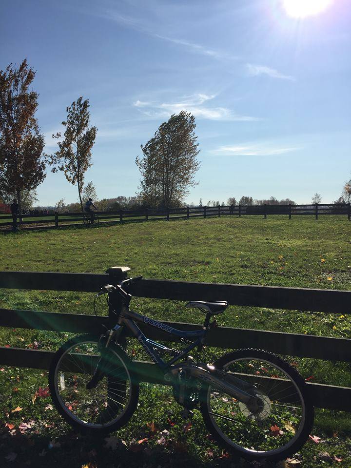 Pitt Meadows on Sunday – Lizzie Ashford.