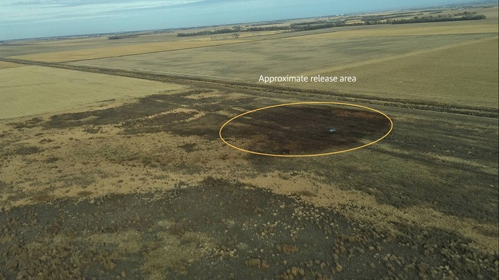 An image released by TransCanada of the Keystone oil pipeline leak in South Dakota, Nov. 16, 2017.