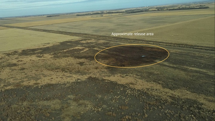 An image released by TransCanada of the Keystone oil pipeline leak in South Dakota, Nov. 16, 2017.
