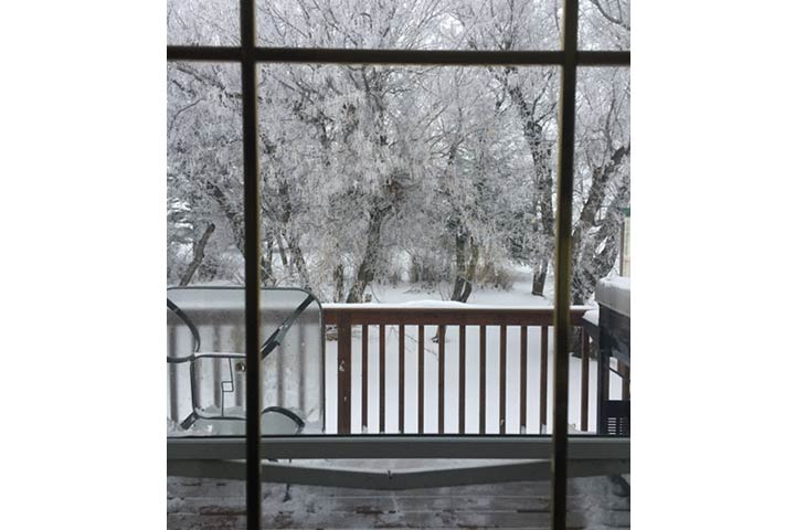 Kari Cenciose took this Nov. 20 Your Saskatchewan photo near LeRoy.