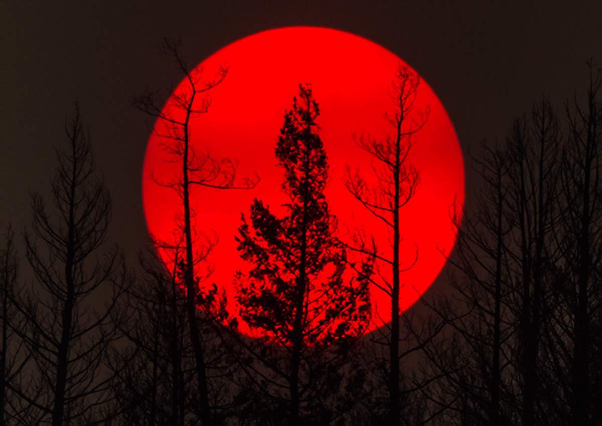 The sun is obscured by smoke from wildfires in the distance behind burnt trees in Williams Lake, B.C., on Sunday, July 30, 2017.