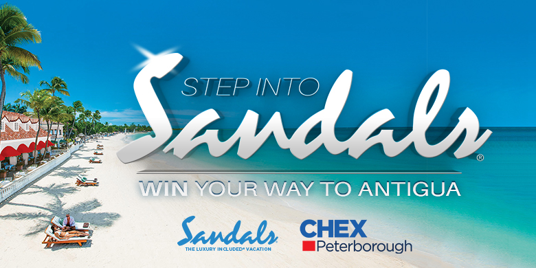 Step Into Sandals - image