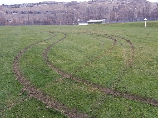 RCMP said a vehicle did extensive damage to a Coldstream Park. 