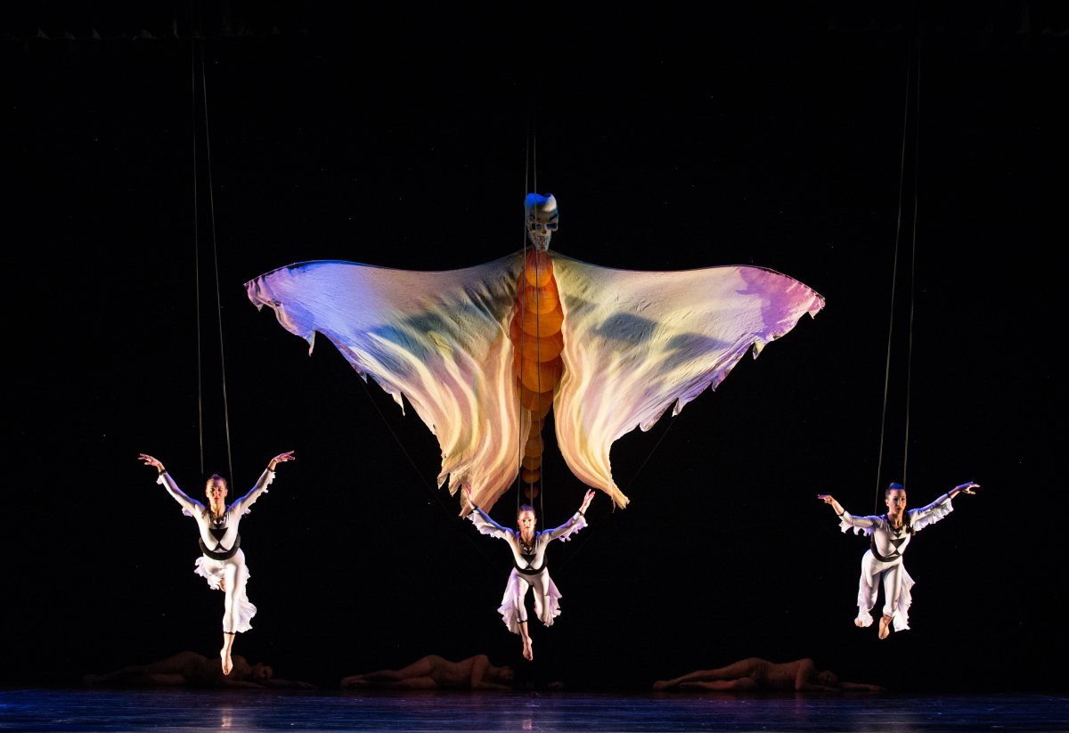 Alberta Ballet presents MOMIX - image