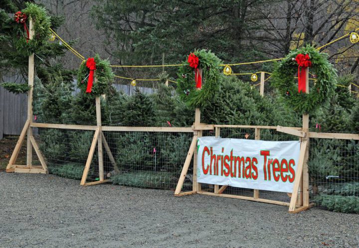 31st Annual Christmas Tree sale. All proceeds go to the TREK outdoor learning program at Prince of Wales Secondary in Vancouver.