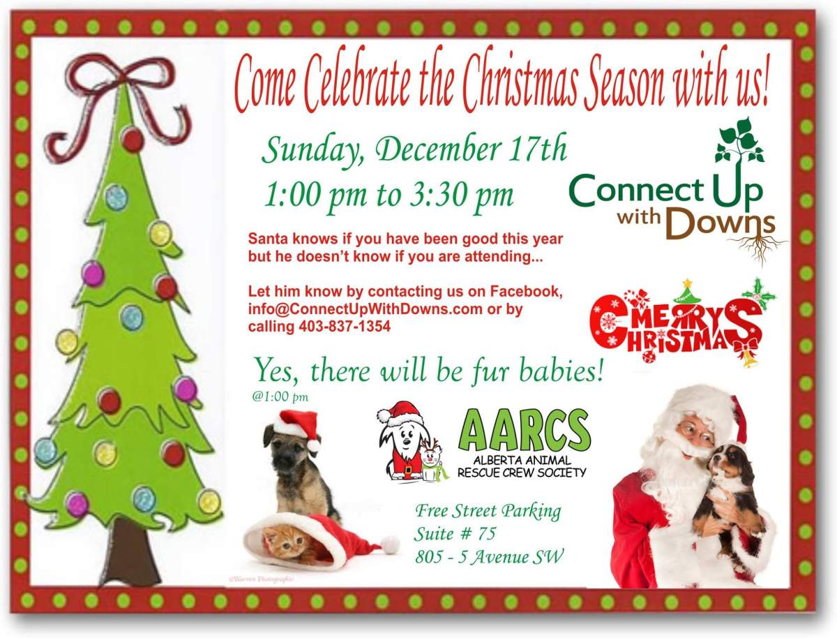 A Connect Up With Downs and AARCS Christmas! - image
