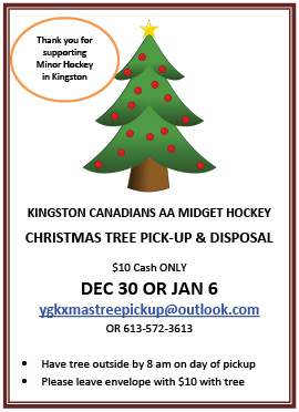 Christmas Tree Pickup and Disposal - image