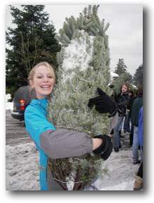 Trek Christmas Tree Sale - image