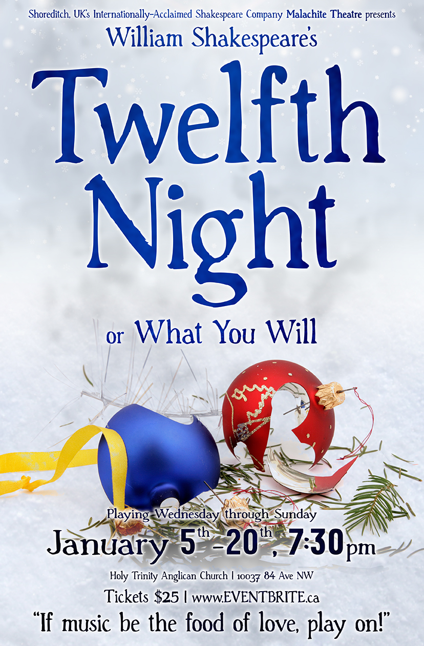 Twelfth Night or What You Will - image