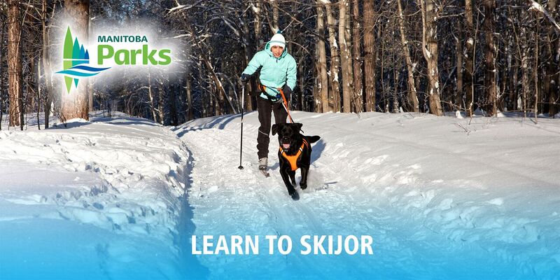 Skijoring & Kick Sledding Demonstration - image