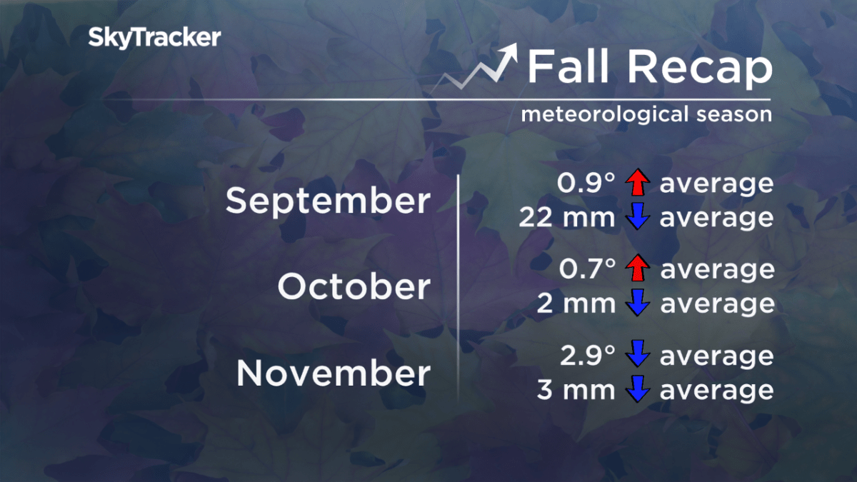 Regina experiences driest fall in a decade - image