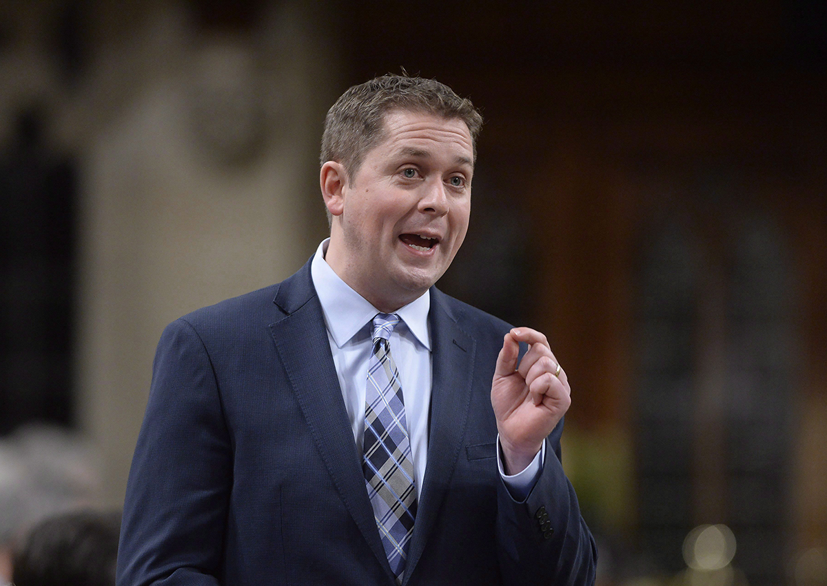 Conservative Leader Andrew Scheer rises during question period in the House of Commons in Ottawa on Monday, Dec. 11, 2017.