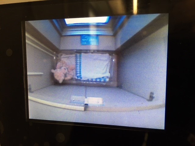 A camera gives staff a glimpse of what’s inside Edmonton’s Angel’s Cradle.