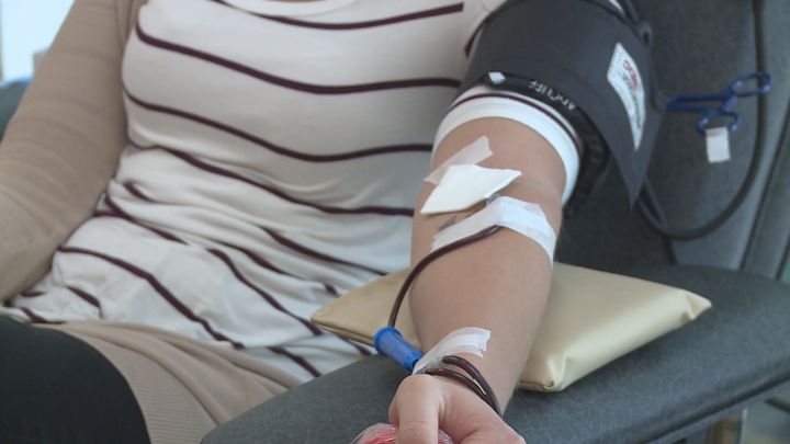 A donor rolls up their sleeve to give blood in Lethbridge.