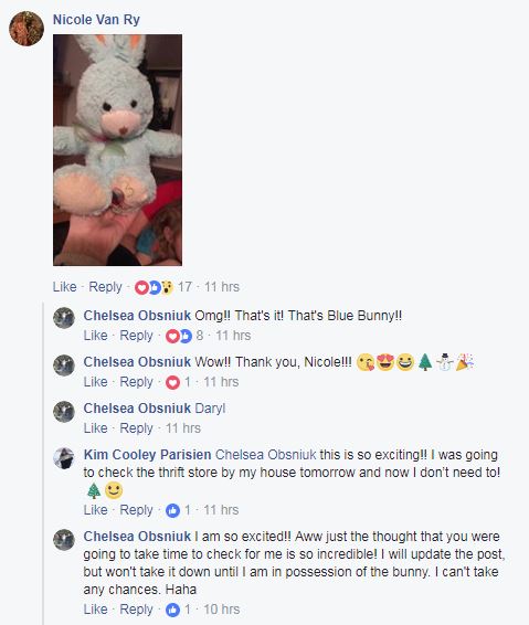 Viral Facebook post makes Winnipeg girl’s Christmas wish come true - image