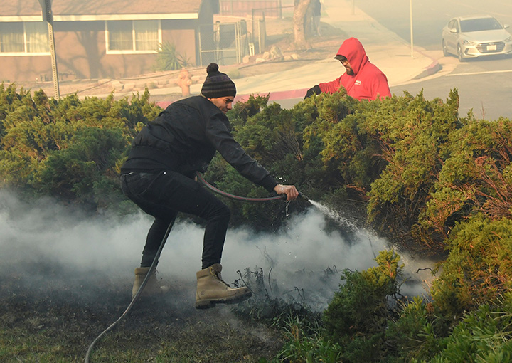 Local neighbours put out hot spots from the heavy winds that started an early-morning Creek Fire in the San Fernando Valley, December 5, 2017.